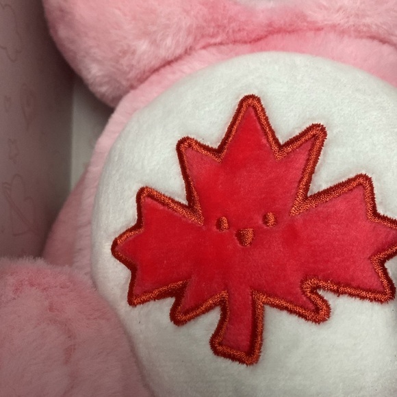 NIB Care Bears PINK True North Bear Plush Canadian Exclusive New - Picture 7 of 16